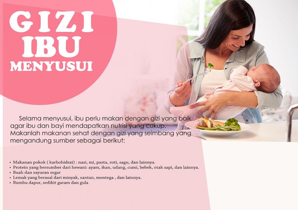 Gizi Ibu Menyusui