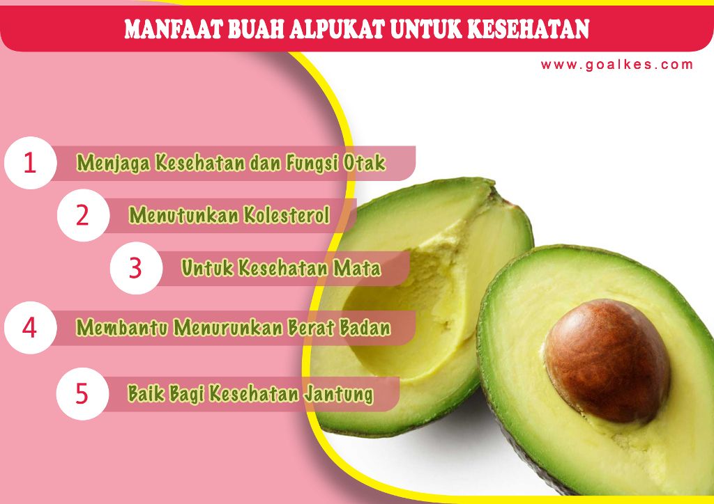 Manfaat Buah Alpukat Untuk Kesehatan