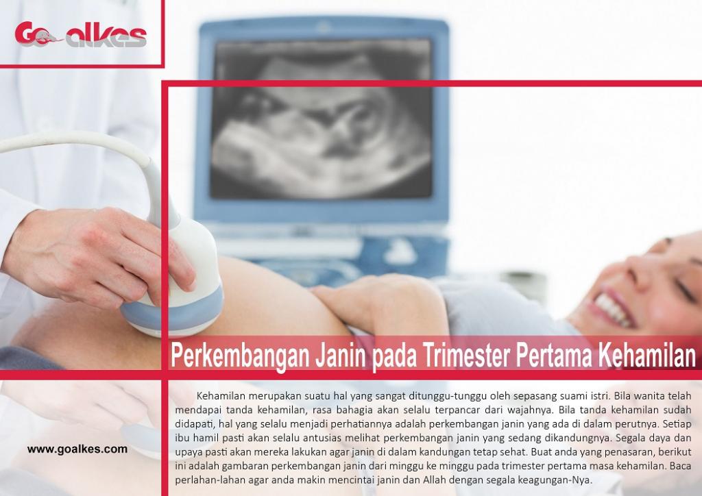 Perkembangan Janin pada Trimester Pertama Kehamilan